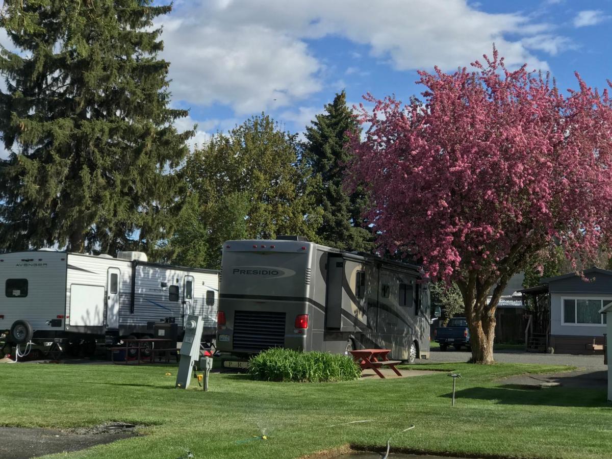 Goose Creek Rv Park & Campground Wilbur Екстериор снимка